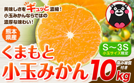 訳あり みかん 小玉みかん くまもと小玉みかん 10kg 秋 旬 不揃い 傷 ご家庭用 SDGs 小玉 たっぷり 熊本県 産 S-3Sサイズ フルーツ 旬 柑橘 熊本県産 温州みかん《7-14日以内に出荷予定(土日祝除く)》 1491863 - 熊本県玉東町