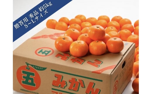 マルゴみかん 秀品 約5kg (S〜L) / JA伊勢 完熟栽培 温州みかん 蜜柑 フルーツ 果物 三重県 南伊勢町