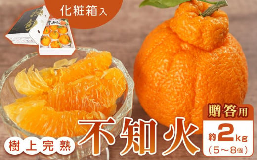 【贈答用化粧箱入】 不知火 樹上完熟 約2kg （5～8個入）【2025年2月中旬頃から発送】【KG10】 1296918 - 和歌山県由良町