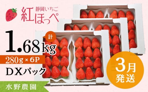 ６２８１　３月発送 掛川産完熟いちご 紅ほっぺ 280g×6P 1.68ｋｇ （1ｐ：8～15粒入) 受付順に順次発送・ 水野農園  