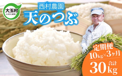 米 定期便 天のつぶ 30kg ( 10kg × 3ヶ月 ) 《 令和6年 》 福島県 大玉村 西村農園 新米 ｜ てんのつぶ テンノツブ 精米 定期 3回 コメ ｜ nm-tt10-t3-R6 276984 - 福島県大玉村