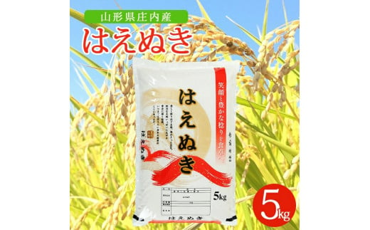 SA2397　令和6年産【精米】はえぬき　5kg×1袋 AK