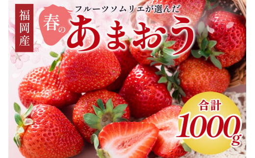 フルーツソムリエが選んだ福岡産【春】あまおう4パック【011-0050】 1496047 - 福岡県中間市