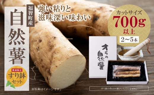 U19-04 オラの自然薯すり鉢セット(カットもの 700g以上) 野菜 グルメ 取り寄せ ご当地 特産 産地 直送人気 オススメ 1442720 - 福岡県福智町