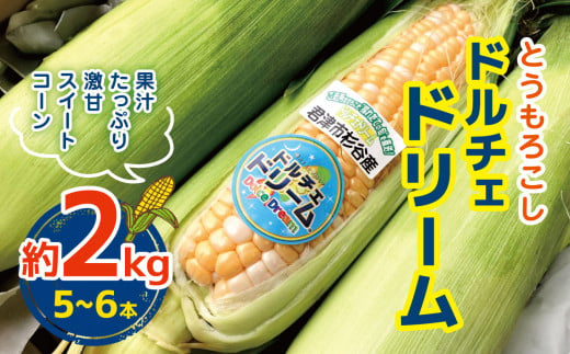 [2025年先行予約]とうもろこし ドルチェドリーム 約2kg(5〜6本) | 野菜 甘い とうもろこし スイートコーン コーン トウモロコシ 新鮮 朝採り 千葉 君津 きみつ