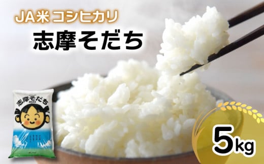 新米 コシヒカリ 5kg JA米「志摩そだち」 / 令和6年産 ブランド米 新米 米 白米 精米 コシヒカリ お米 5kg ご飯 伊勢 志摩 三重県 11000円 一万千円  1112710 - 三重県志摩市