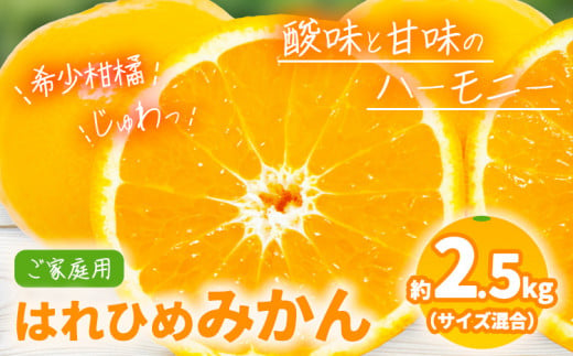 みかん【先行予約】【希少柑橘】 はれひめみかん 約 2.5kg（サイズ混合　ご家庭用） 紀の川市厳選館《2024年12月上旬-2025年1月中旬頃出荷》 和歌山県 紀の川市 果物 フルーツ 柑橘 蜜柑 柑橘類 旬