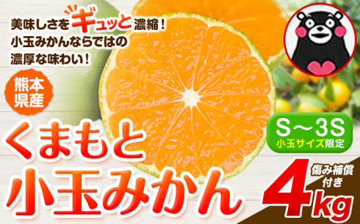 訳あり みかん 小玉みかん くまもと小玉みかん 4kg 秋 旬 不揃い 傷 ご家庭用 SDGs 小玉 たっぷり 熊本県 産 S-3Sサイズ フルーツ 旬 柑橘 熊本県産 温州みかん《7-14日以内に出荷予定(土日祝除く)》 1491861 - 熊本県玉東町