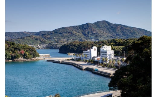 【湯の児 海と夕やけ】一泊二食付き共通ペア宿泊券 チケット 宿泊券 ペア 食事付き 1490816 - 熊本県水俣市