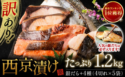 選べる発送月】 【2025年1月1日～寄附額改定】 【訳あり】 厳選 鮮魚 西京漬け 1.2kg 銀だら入り たっぷり 20枚 西京焼き 4切れ×5袋  （訳あり 訳アリ 魚 さかな 鮮魚 旬の魚 西京 漬魚 おまかせ セット 西京味噌 鯖 サバ 鮭 シャケ 赤魚 カレイ サワラ 銀鱈 銀ダラ