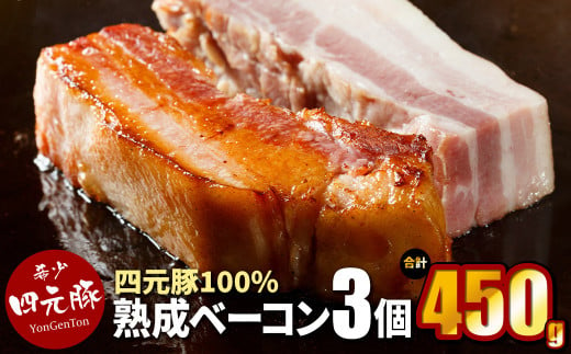 【 岩手 四元豚  GIFTON 】熟成ベーコンブロック 150g ×3個セット (合計 450g ) 豚肉 ベーコン 厚切り BBQ 焼き肉 ギフト お歳暮 お中元 プレゼント 贈答 おつまみ 晩酌 お弁当 冷凍 オリジナルボックス 包装 のし 【 岩手県 北上市 ごえん株式会社 D0461 】 471653 - 岩手県北上市