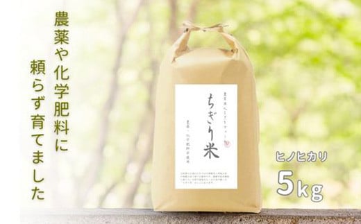 【令和6年新米・先行受付】ひのひかり ちぎり米 5kg【佐賀県産 米 コメ ヒノヒカリ 夢しずく 精米 白米】A6-C091001 1490199 - 佐賀県基山町