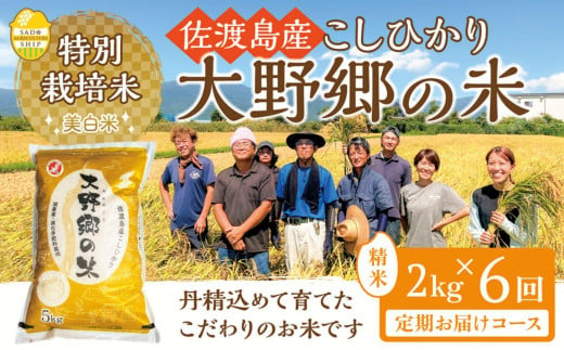 【令和６年産新米】佐渡島産 特別栽培米こしひかり「大野郷の米」精米2kg×6回 定期お届けコース 1490359 - 新潟県佐渡市