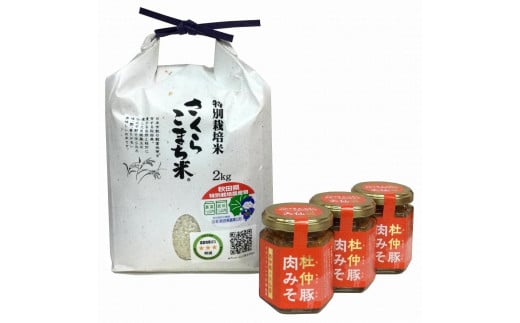 秋田 杜仲豚 肉みそ3個（110g×3）＆さくらこまち米（2kg）セット　令和6年産米 1489835 - 秋田県大仙市