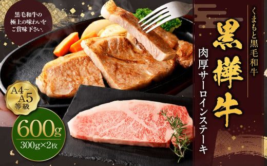 黒樺牛 肉厚サーロインステーキ 約600g （約300g×2パック） お肉 肉 牛肉 ブランド黒毛和牛 和牛 黒毛和牛 ブランド牛 サーロイン ステーキ ロースステーキ 冷凍 国産 九州産 冷凍 1490958 - 熊本県上天草市