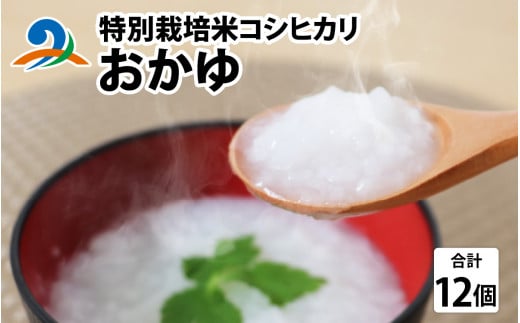 南条産コシヒカリで作ったおかゆ 12個｜ 国産 米 コシヒカリ レトルト おかゆ 非常食 南越前町 食品 送料無料 1489764 - 福井県南越前町