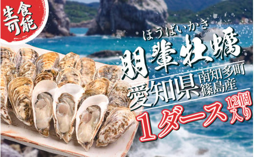 選べる 牡蠣 かき 生食用 冷蔵 12個  1ダース 朋輩牡蠣 愛知 南知多 1471002 - 愛知県南知多町