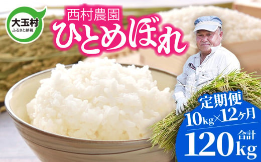 米 定期便 ひとめぼれ 120kg ( 10kg × 12ヶ月 ) 《 令和6年 》 福島県 大玉村 西村農園 新米 ｜ ヒトメボレ 精米 定期 12回 コメ ｜ nm-hb10-t12-R6 276961 - 福島県大玉村