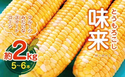 [2025年先行予約]とうもろこし 味来約2kg(5〜6本) | 野菜 とうもろこし スイートコーン コーン トウモロコシ 新鮮 朝採り 千葉 君津 きみつ