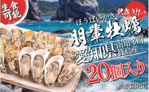 選べる 訳あり 牡蠣 かき 生食用 冷蔵 20個 朋輩牡蠣 愛知 南知多 1471003 - 愛知県南知多町