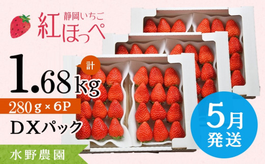 ６２８３　５月発送 掛川産完熟いちご 紅ほっぺ 280g×6P 1.68ｋｇ 1p:(8～15粒入)・ 水野農園 1490879 - 静岡県掛川市