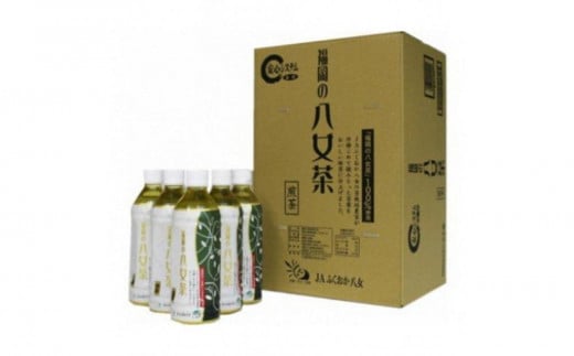 【八女茶】煎茶ペットボトル 500ml×24