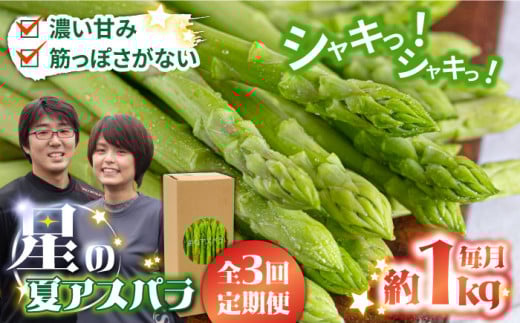 【2025年6月初回発送】【3回定期便】【星のアスパラ】夏のグリーンアスパラガス 約1kg / アスパラ 野菜 / 南島原市 / ほしのYA [SEY014]