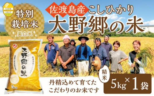 【令和６年産新米】佐渡島産 特別栽培米こしひかり「大野郷の米」 精米5kg×１袋 1490357 - 新潟県佐渡市