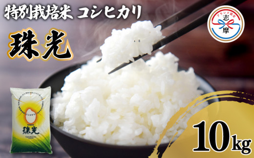 新米 コシヒカリ 10kg 特別栽培米 「珠光」 / 令和6年産 ブランド米 国産 新米 米 白米 精米 コシヒカリ お米 10kg ご飯 朝食 昼食 夕食 お取り寄せ 伊勢 志摩 三重県 21000円 二万千円 739790 - 三重県志摩市