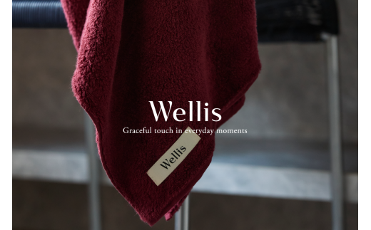 Wellis　フルセット ボルドー　ランドリーバッグ付き　（009_5136_04） 1491488 - 大阪府熊取町