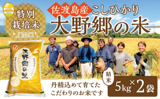 【令和６年産新米】佐渡島産 特別栽培米こしひかり「大野郷の米」精米5kg×2袋 1490360 - 新潟県佐渡市