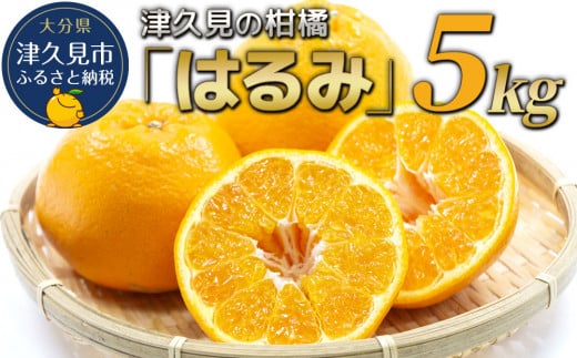 【先行予約】津久見のみかん はるみ 5kg ミカン 蜜柑 オレンジ 果実 旬のフルーツ 大分県産 九州産 津久見市 国産 572701 - 大分県津久見市