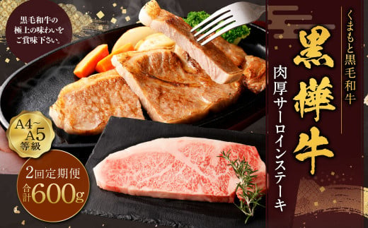 【定期便】黒樺牛 【2回定期便】肉厚サーロインステーキ 約300g 合計約600g お肉 肉 牛肉 ブランド黒毛和牛 和牛 黒毛和牛 ブランド牛 サーロイン ステーキ ロースステーキ 冷凍 国産 九州産 冷凍 1490960 - 熊本県上天草市