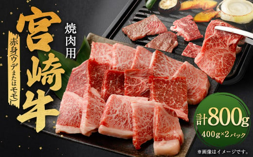 [宮崎牛赤身焼肉 800g]翌月末迄に順次出荷 宮崎牛 牛肉 黒毛和牛 赤身 焼肉 極上 肉質 宮崎県産