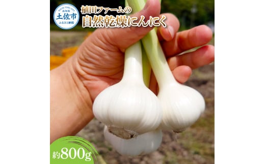 植田ファームの自然乾燥にんにく800g 800グラム ニンニク ガーリック おつまみ お酒 料理 醤油漬け ガーリックオイル ペペロンチーノ パスタ スパゲッティ ステーキ 無農薬 美味しい