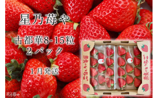 先行予約 奈良県ブランドイチゴ古都華2パック 2025年1月発送 // /苺 いちご イチゴ 古都華 奈良 奈良県 広陵町 生産者直送 直送 厳選 数量限定 旬 フルーツ 甘い 完熟 果物 星乃苺や