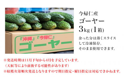 沖縄県今帰仁村のふるさと納税 今帰仁ゴーヤー3kg【11月下旬～4月頃お届け】