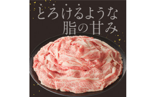 佐賀県玄海町のふるさと納税 【訳あり】佐賀牛切り落とし1kg（500g×2パック）（4月配送）／ 訳あり 牛肉 肉 お肉 佐賀牛 切り落とし 薄切り スライス 小分け 1kg 牛丼 肉じゃが すき焼き しゃぶしゃぶ 国産 黒毛和牛 佐賀県産和牛 A5 A4 a5 a4 国産 佐賀県 玄海町 冷凍 人気 おすすめ 送料無料