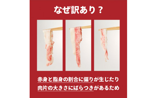 佐賀県玄海町のふるさと納税 【訳あり】佐賀牛切り落とし1kg（500g×2パック）（4月配送）／ 訳あり 牛肉 肉 お肉 佐賀牛 切り落とし 薄切り スライス 小分け 1kg 牛丼 肉じゃが すき焼き しゃぶしゃぶ 国産 黒毛和牛 佐賀県産和牛 A5 A4 a5 a4 国産 佐賀県 玄海町 冷凍 人気 おすすめ 送料無料