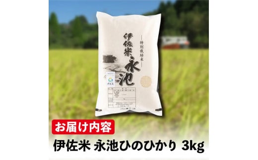 Z5-10 令和6年産 新米 特別栽培米 伊佐米永池ひのひかり(3kg) ふるさと納税 伊佐市 特産品 鹿児島 永池 お米 米 白米 精米 伊佐米 九州 米サミット 食味コンテスト 最優秀賞受賞 ヒノヒカリ【エコファーム永池】 - 鹿児島県伊佐市｜ふるさとチョイス - ふるさと納税サイト