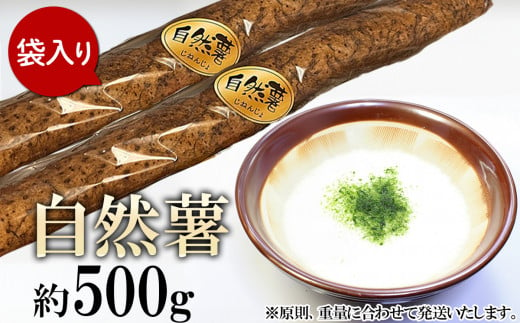 自然薯 約500g(カット済)【※重量（約500g）に合わせてお届け】【2024年12月～2025年3月ごろ発送予定】【 山芋 やまいも とろろ 人気 おすすめ ふるさと納税 ごはん 米 蕎麦 】 883079 - 茨城県下妻市