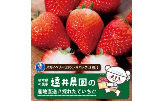 産地直送!!栃木県遠井農園の美味しいスカイベリー＜290g×4パック(2箱)＞【1518943】