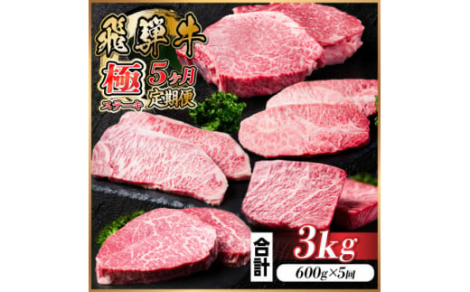 ＜毎月定期便＞飛騨牛 極ステーキ定期便　計約3kg＜冷蔵便＞全5回【4056916】 1492996 - 岐阜県羽島市