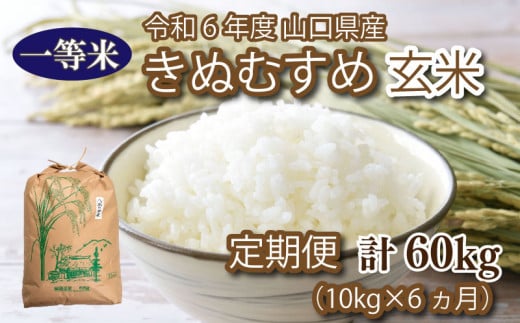 【 定期便 6ヶ月 】米 10kg 計 60kg きぬむすめ 新米 玄米 お米 月1回お届け 大容量 下関 山口