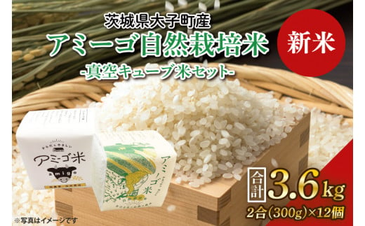 茨城県大子町のふるさと納税 お礼の品ランキング【ふるさとチョイス】 3ページ目