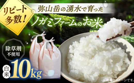 【新米 令和6年産】弥山岳の岩清水で育ったノガミファームの お米 白米 10kg ( 5kg ×2袋） ▼ おすすめ 人気 ランキング 高評価 国産 福岡県産 九州 米 お米 白米 ご飯 ごはん ゴハン 白飯 精米 桂川町/NOGAMI FARM[ADAU005] 1415900 - 福岡県桂川町