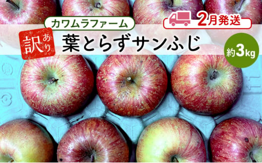 りんご 【2月発送】カワムラファーム 訳あり 葉とらず サンふじ 約3kg 【弘前市産 青森りんご】 青森 弘前 1492912 - 青森県弘前市