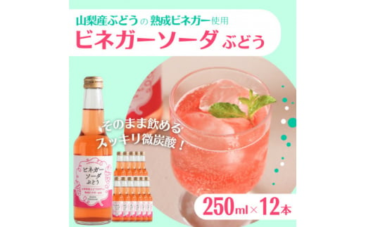 山梨産ぶどう100%の熟成ビネガーで造った!そのまま飲める＜ビネガーソーダぶどう12本セット＞【1537862】 1492812 - 山梨県山梨県庁