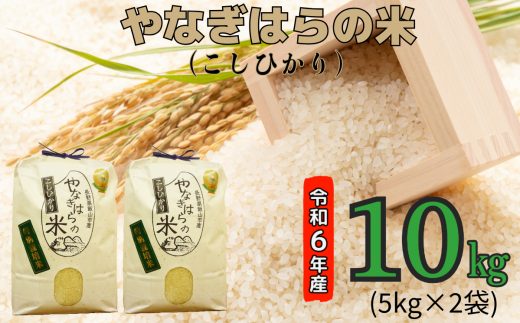 【令和6年産】「やなぎはらの米　こしひかり」10㎏ (6-40A) 1492482 - 長野県飯山市