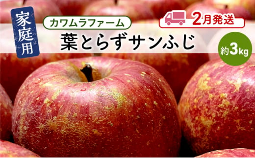 りんご 【2月発送】カワムラファーム 家庭用 葉とらず サンふじ 約3kg 【弘前市産 青森りんご】 青森 弘前 1492918 - 青森県弘前市